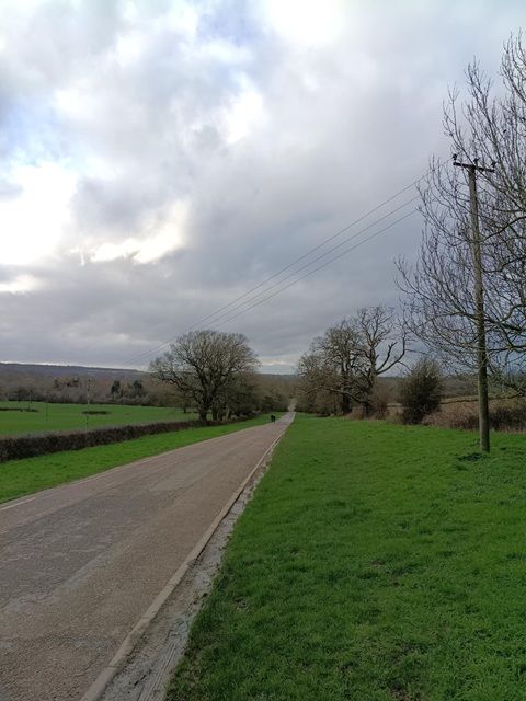 Some mud-free walking